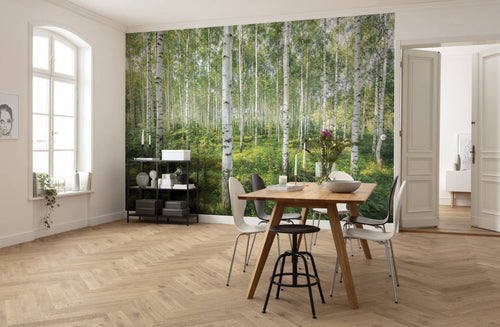 Komar Vlies Fotobehang 8 744 Sunny Day Interieur | Yourdecoration.nl