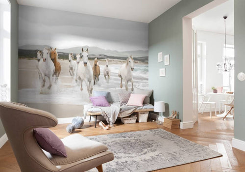 Komar White Horses Fotobehang 368x254cm | Yourdecoration.nl