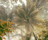 Komar Palms Panorama Vlies Fotobehang 300x250cm 3 banen | Yourdecoration.nl