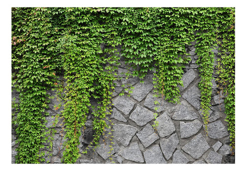 Fotobehang - Green Wall - Vliesbehang