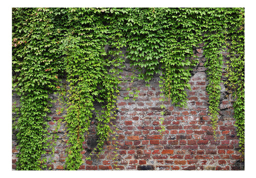 Fotobehang - Brick and Ivy - Vliesbehang