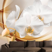 Fotobehang - Orchid Blossom - Vliesbehang
