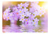 Fotobehang - Violet Petals in Bloom - Vliesbehang