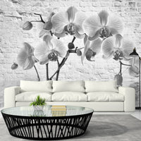 Fotobehang - Orchid in Shades of Gray - Vliesbehang