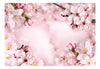 Fotobehang - Spring Cherry Blossom - Vliesbehang