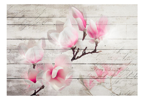 Fotobehang - Gentleness of the Magnolia - Vliesbehang