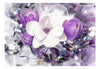 Fotobehang - Purple Empress - Vliesbehang