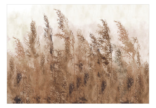 Fotobehang - Tall Grasses Brown - Vliesbehang