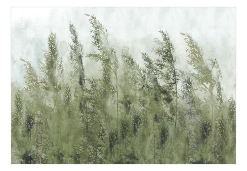 Fotobehang - Tall Grasses Green - Vliesbehang