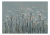 Fotobehang - Garlic Flowers - Vliesbehang