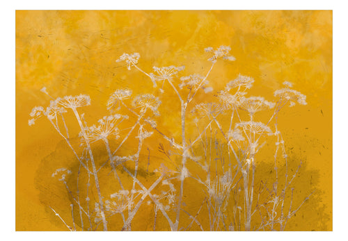 Fotobehang - Meadow Bathed in the Sun - Vliesbehang