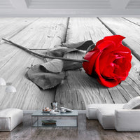 Fotobehang - Abandoned Rose - Vliesbehang