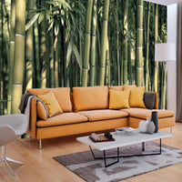 Fotobehang - Bamboo Exotic - Vliesbehang