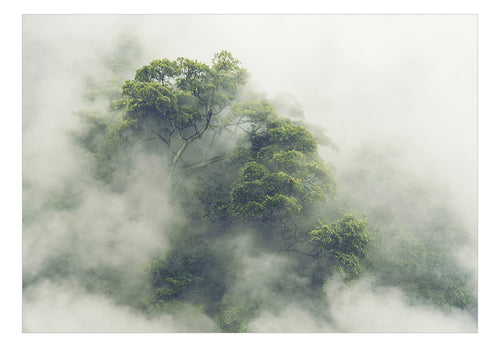 Fotobehang - Foggy Amazon - Vliesbehang