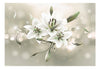 Fotobehang - Lily Flower of Masters - Vliesbehang