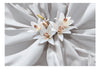 Fotobehang - Sensual Lilies - Vliesbehang