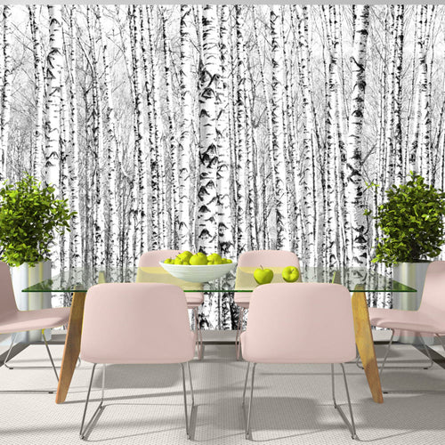 Fotobehang - Birch Forest - Vliesbehang