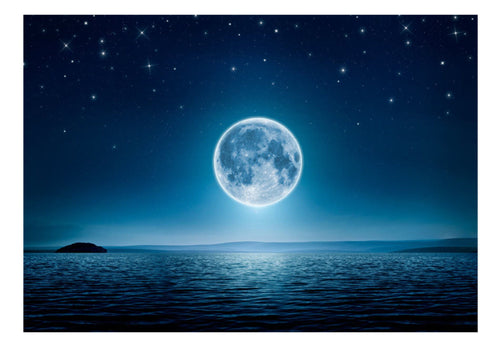 Fotobehang - Moonlit Night - Vliesbehang