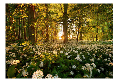 Fotobehang - Forest Flora - Vliesbehang
