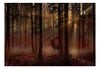 Fotobehang - Mystical Forest First Variant - Vliesbehang