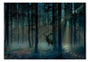 Fotobehang - Mystical Forest Third Variant - Vliesbehang