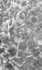 Dimex Apple Tree Abstract III Fotobehang 150x250cm 2 banen | Yourdecoration.nl