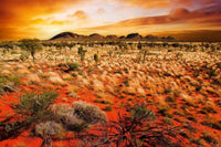 Dimex Australian Landscape Fotobehang 375x250cm 5 banen | Yourdecoration.nl