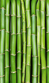 Dimex Bamboo Fotobehang 150x250cm 2 banen | Yourdecoration.nl