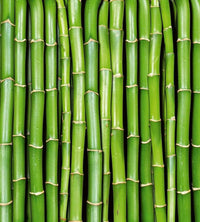 Dimex Bamboo Fotobehang 225x250cm 3 banen | Yourdecoration.nl