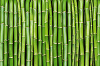 Dimex Bamboo Fotobehang 375x250cm 5 banen | Yourdecoration.nl