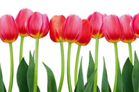 Dimex Bed of Tulips Fotobehang 375x250cm 5 banen | Yourdecoration.nl