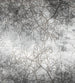 Dimex Branch Abstract Fotobehang 225x250cm 3 banen | Yourdecoration.nl