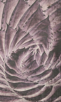 Dimex Cactus Abstract Fotobehang 150x250cm 2 banen | Yourdecoration.nl