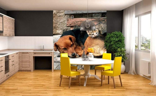 Dimex Cat and Dog Fotobehang 225x250cm 3 banen Sfeer | Yourdecoration.nl