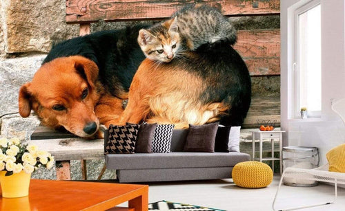 Dimex Cat and Dog Fotobehang 375x250cm 5 banen Sfeer | Yourdecoration.nl