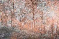 Dimex Colorful Forest Abstract Fotobehang 375x250cm 5 banen | Yourdecoration.nl