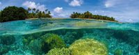 Dimex Coral Reef Fotobehang 375x150cm 5 banen | Yourdecoration.nl