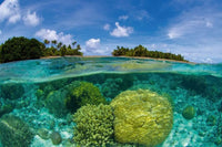 Dimex Coral Reef Fotobehang 375x250cm 5 banen | Yourdecoration.nl