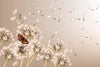 Dimex Dandelions and Butterfly Fotobehang 375x250cm 5 banen | Yourdecoration.nl
