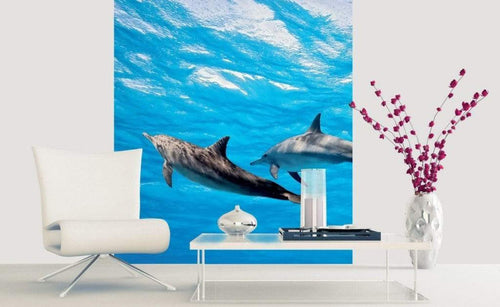 Dimex Dolphins Fotobehang 225x250cm 3 banen Sfeer | Yourdecoration.nl