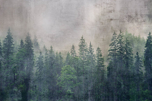 Dimex Forest Abstract Fotobehang 375x250cm 5 banen | Yourdecoration.nl