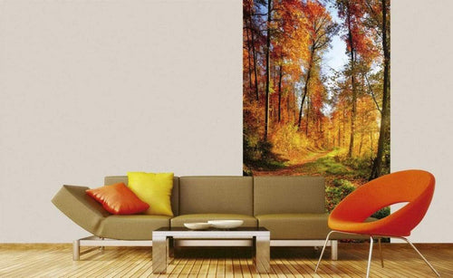 Dimex Forest Walk Fotobehang 150x250cm 2 banen Sfeer | Yourdecoration.nl