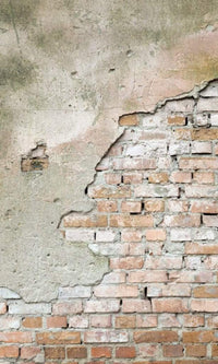 Dimex Grunge Wall Fotobehang 150x250cm 2 banen | Yourdecoration.nl