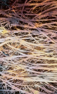 Dimex Hay Abstract I Fotobehang 150x250cm 2 banen | Yourdecoration.nl