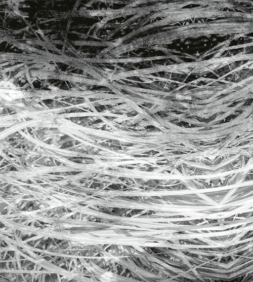 Dimex Hay Abstract II Fotobehang 225x250cm 3 banen | Yourdecoration.nl