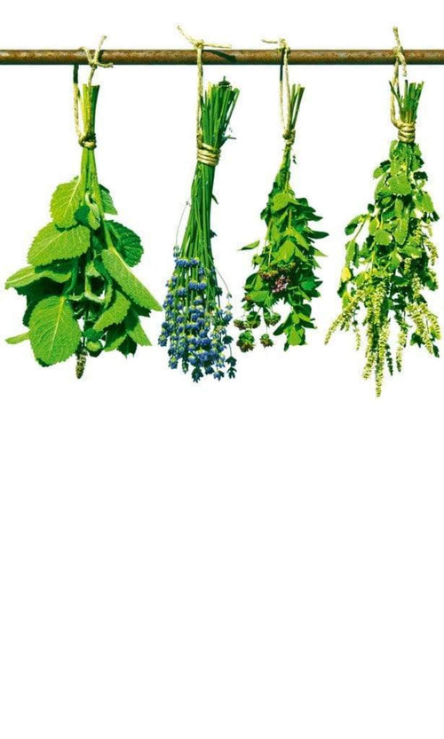 Dimex Herbs Fotobehang 150x250cm 2 banen | Yourdecoration.nl