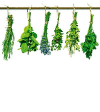 Dimex Herbs Fotobehang 225x250cm 3 banen | Yourdecoration.nl
