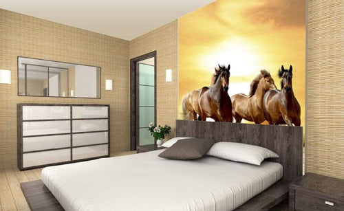 Dimex Horses in Sunset Fotobehang 225x250cm 3 banen Sfeer | Yourdecoration.nl