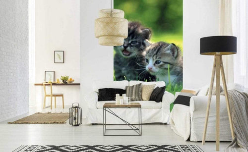 Dimex Kittens Fotobehang 150x250cm 2 banen Sfeer | Yourdecoration.nl