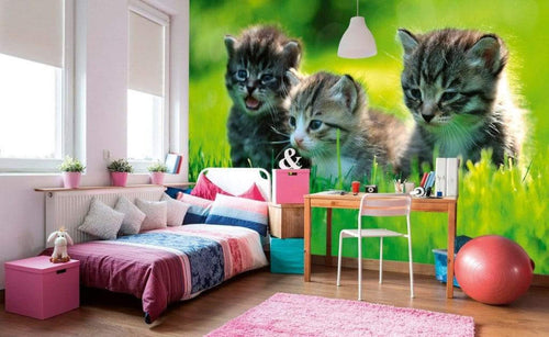 Dimex Kittens Fotobehang 375x250cm 5 banen Sfeer | Yourdecoration.nl